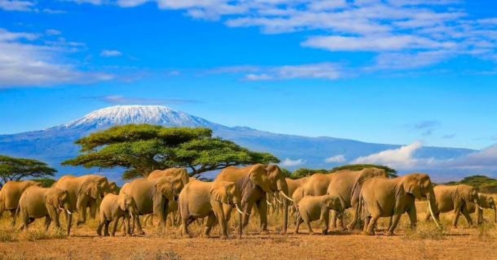 Grandeur du KENYA