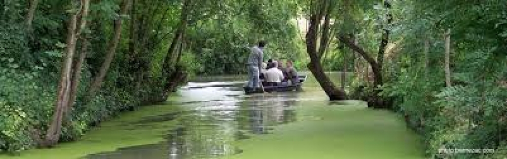 MYSTÉRIEUX MARAIS POITEVIN